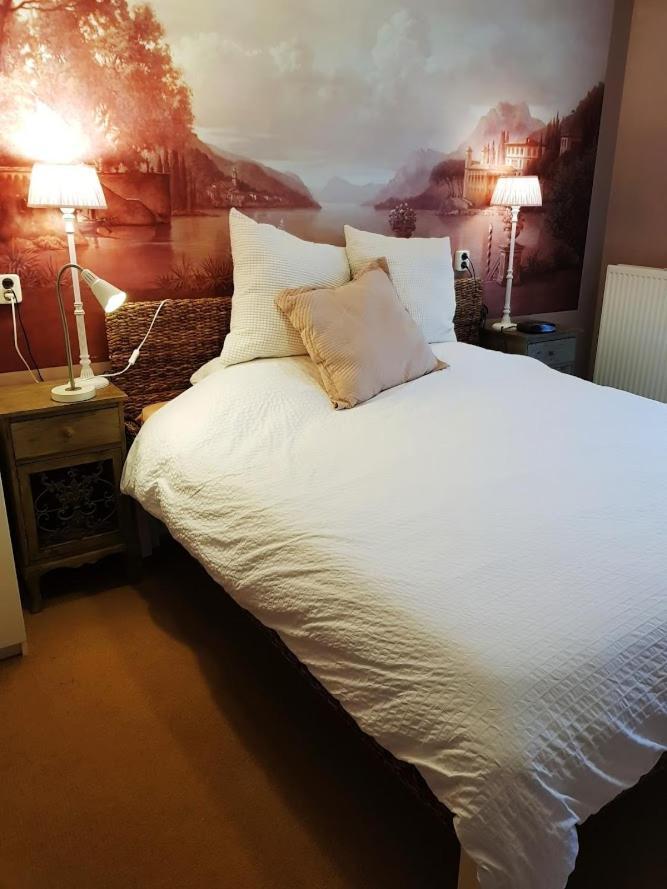 B&B Villa De Thee Tuin بيلينغْفولد المظهر الخارجي الصورة